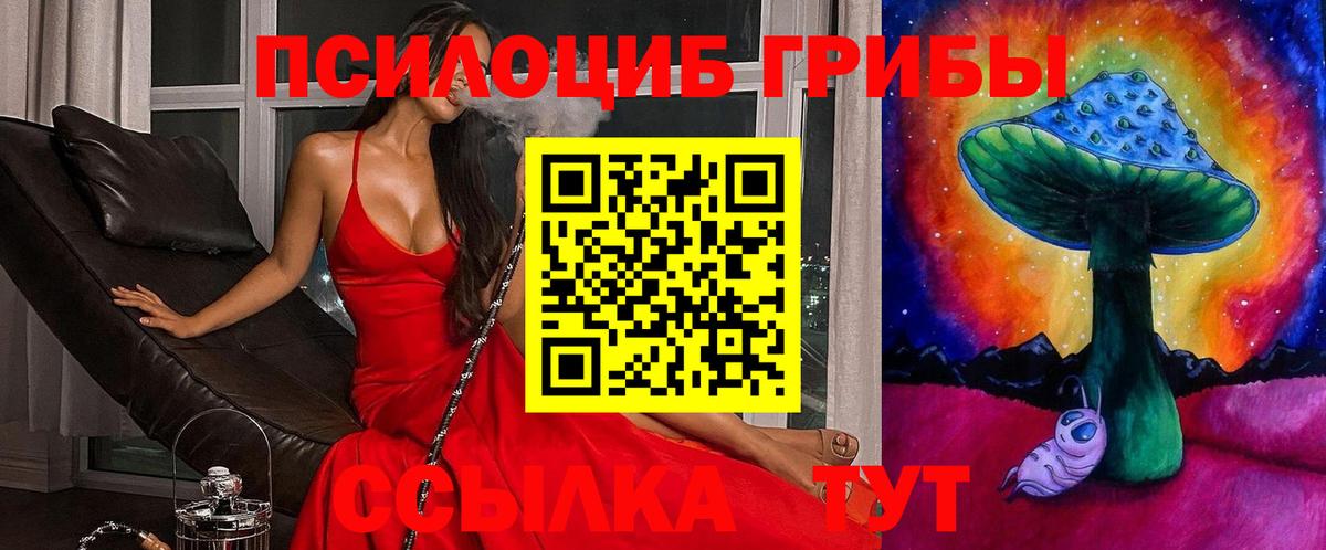 Галлюциногенные грибы Magic Shrooms Магадан