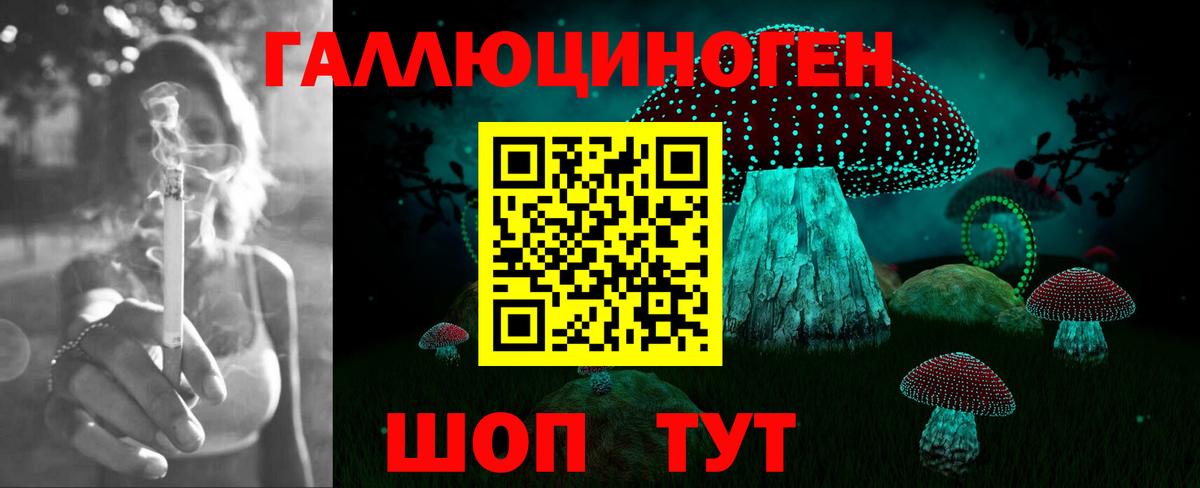 Псилоцибиновые грибы прущие грибы  Вход с VPN  Магадан 